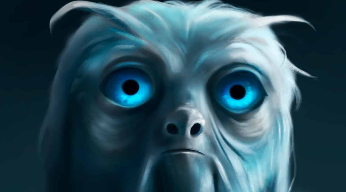 Pegar seminviso é a forma de melhorar seu alohomora em Hogwarts Legacy